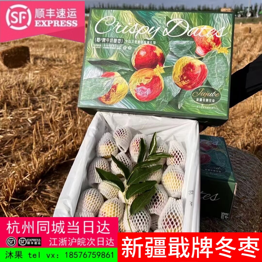 正宗现货戢牌新牛奶冬枣新鲜大枣当季水果枣子脆甜新疆库尔勒鲜枣