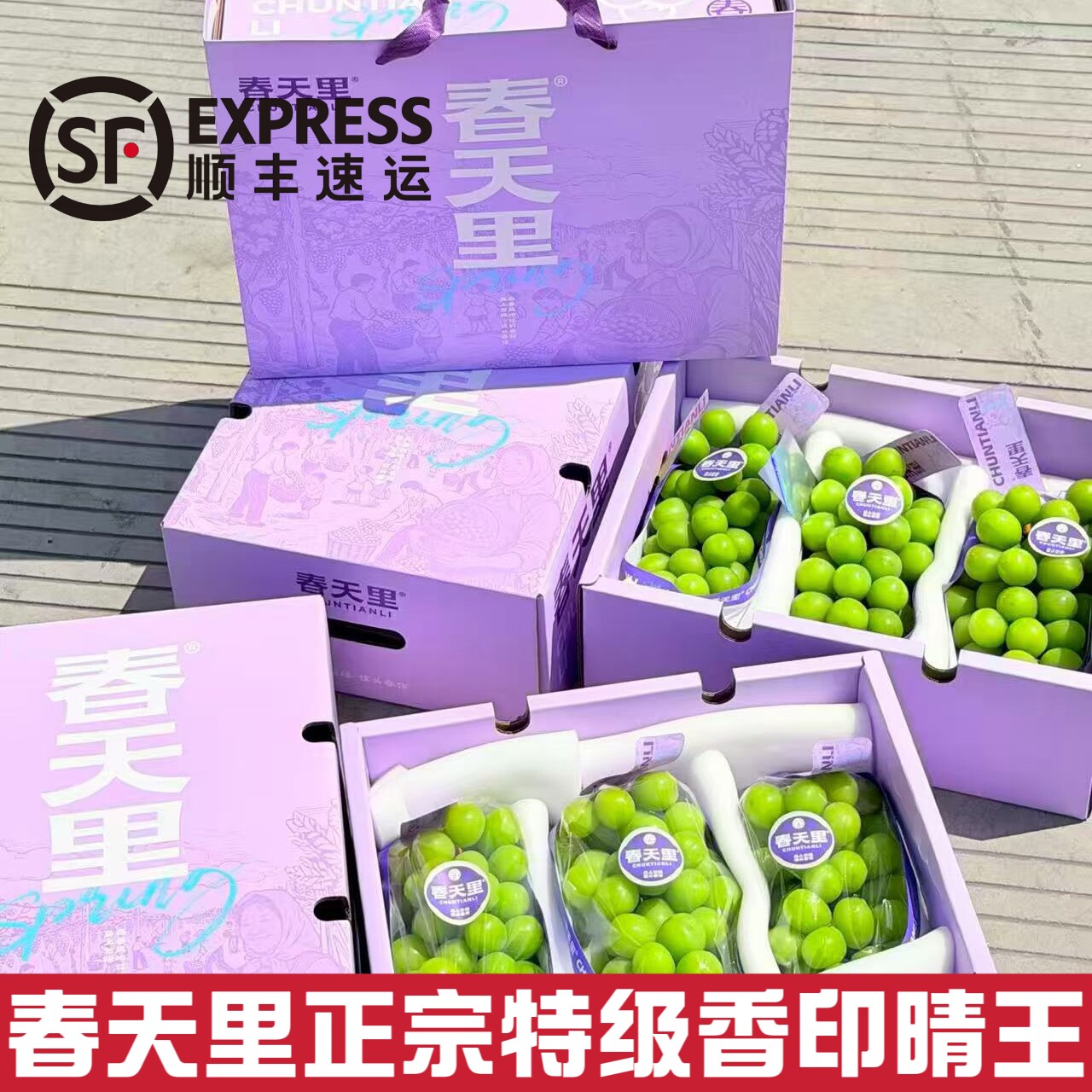 春天里正宗特级香印晴王葡萄礼盒装无籽葡萄新鲜水果阳光玫瑰