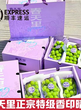 春天里正宗特级香印晴王葡萄礼盒装无籽葡萄新鲜水果阳光玫瑰