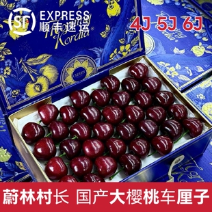 新鲜孕妇顺丰大樱桃直发 蔚林村长•大连红樱桃现摘国产车厘子当季