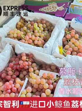 顺丰 智利LYCHEE GRAPES荔枝香葡萄慕斯卡当季新鲜提子进口 无籽