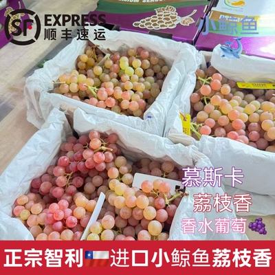 顺丰 智利LYCHEE GRAPES荔枝香葡萄慕斯卡当季新鲜提子进口 无籽