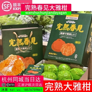 现货完熟桔纯甜大雅柑二代春见耙耙柑礼盒装新鲜橘子当季安甜顺丰