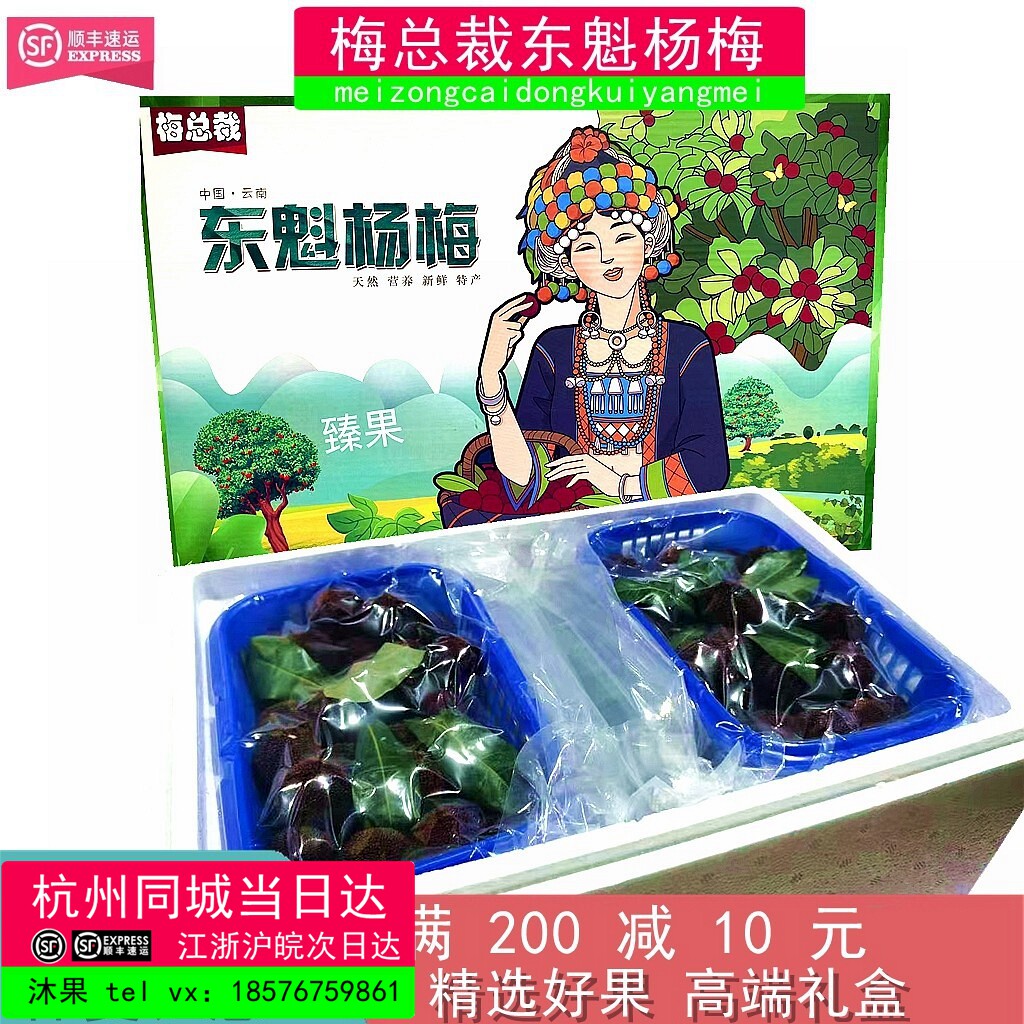 梅总裁东魁杨梅大果5斤礼盒装新鲜杨梅超甜多汁新鲜孕妇水果肉厚