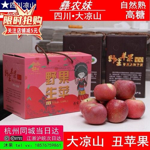 彝农妹大凉山丑苹果当季新鲜水果整箱4斤富士正宗冰糖心盐源苹果