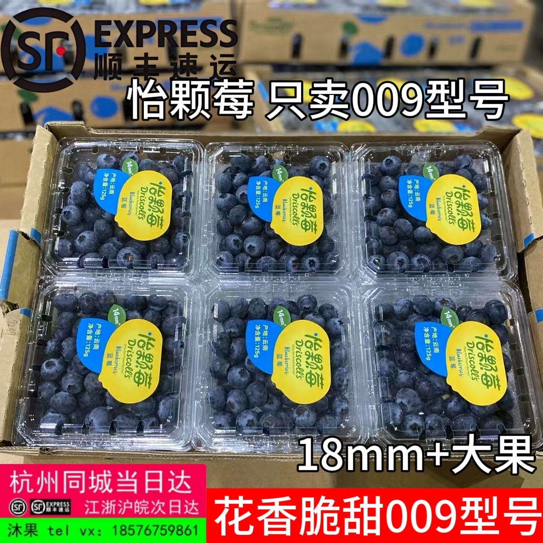 怡颗莓蓝莓 009型号18mm+大果云南花香蓝莓鲜果水果L25