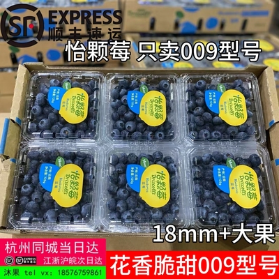 怡颗莓蓝莓 009型号18mm+大果云南花香蓝莓鲜果水果L25