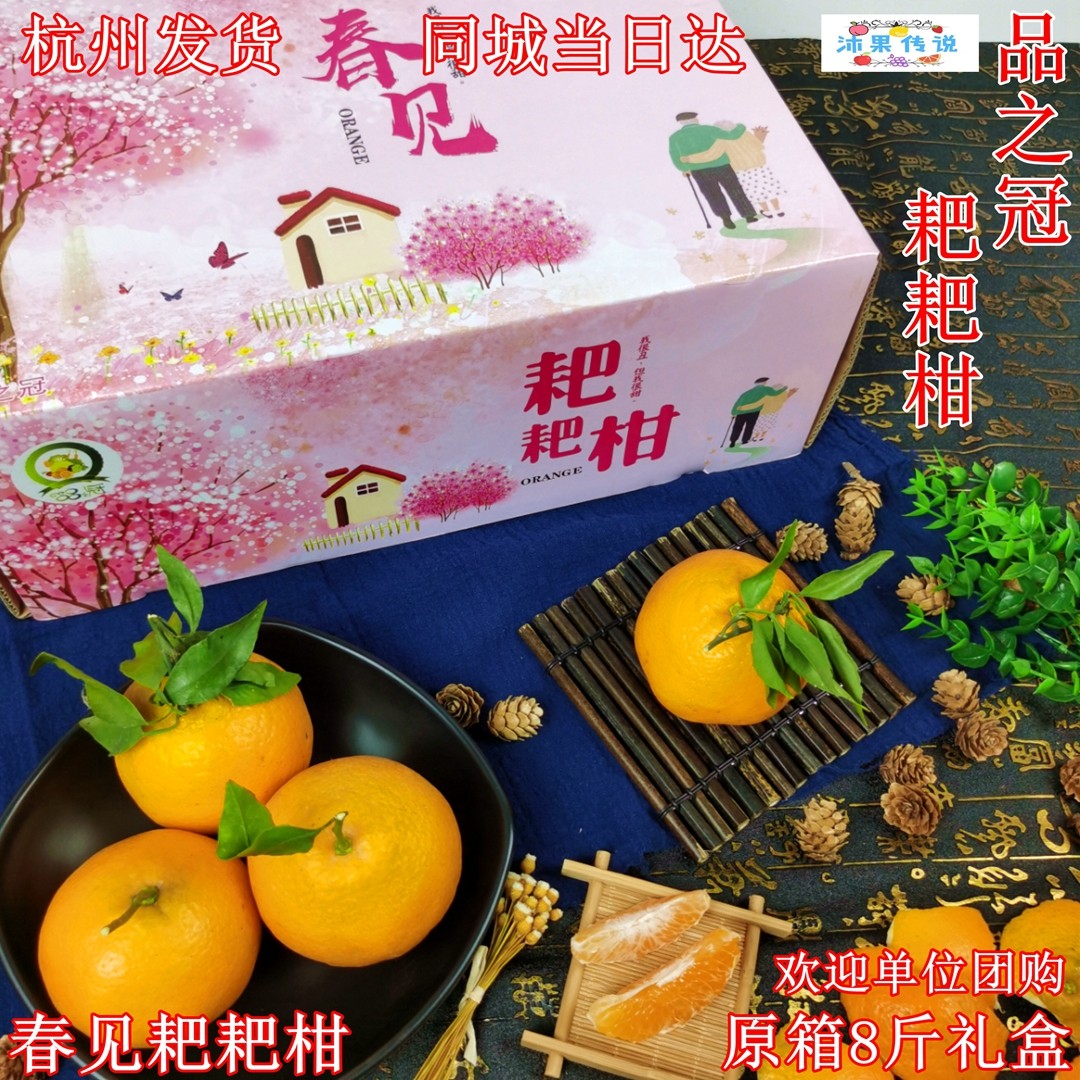 品之冠春见耙耙柑8斤礼盒装 新鲜眉山橘子应季水果,水产肉类/新鲜蔬果/熟食,桔子,淘宝优惠券,粉丝福利购,淘宝优惠卷