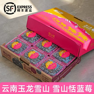 云南玉龙雪山 6盒 12盒 护眼鲜脆甜蓝莓果 雪山恬L25花香蓝莓4盒