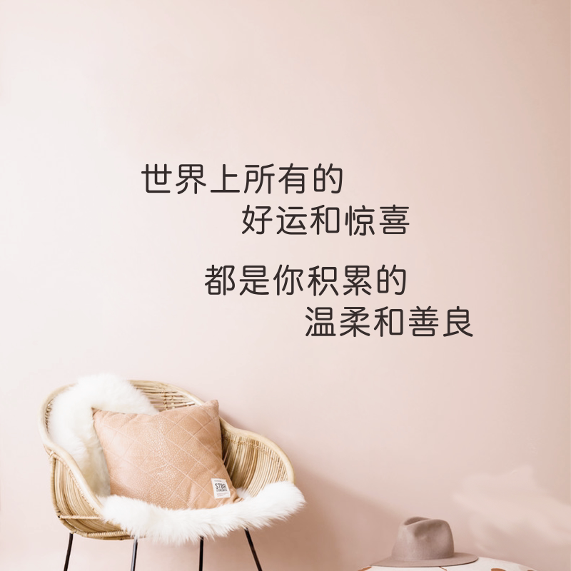 好运惊喜温柔善良ins风短句床头宿舍房间背景墙装饰贴纸