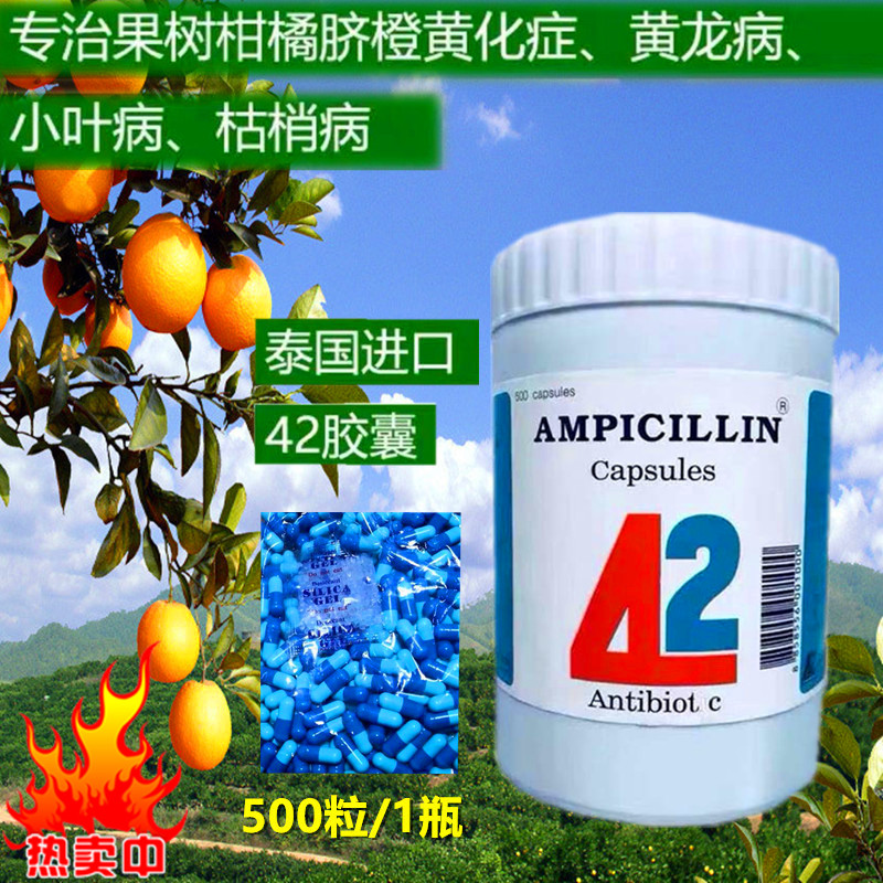 黄龙病果树专用药泰国42蓝色胶囊脐橙柑橘柚子红黑胶囊盐酸四环素