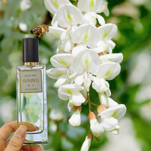 山中四月槐花香水香樟树花白兰花香水柚子花含笑桂花水仙试香小样