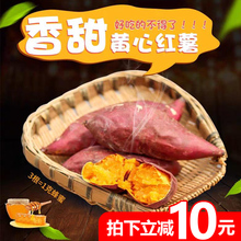 新鲜蜜薯现挖农家自种番薯10斤烤蜜薯糯甜地瓜非板栗地瓜山芋