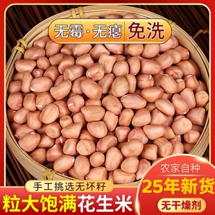 2025年当季 新鲜白沙花生米手工挑选8筛粒大饱满25年新货5斤批发价