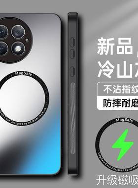 适用于一加13手机壳OnePlus 13磨砂AG保护套5G全包镜头防摔oppo软硬壳1十13引磁吸1加13男女一加十三新款135g