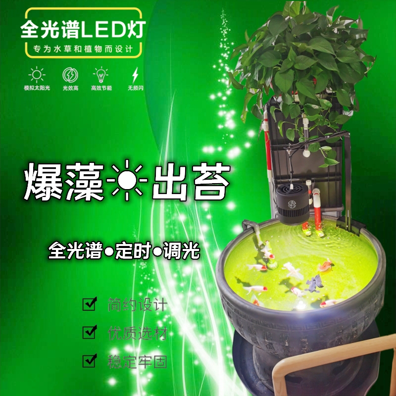 瓦缸爆藻灯古法缸植物灯原生养鱼