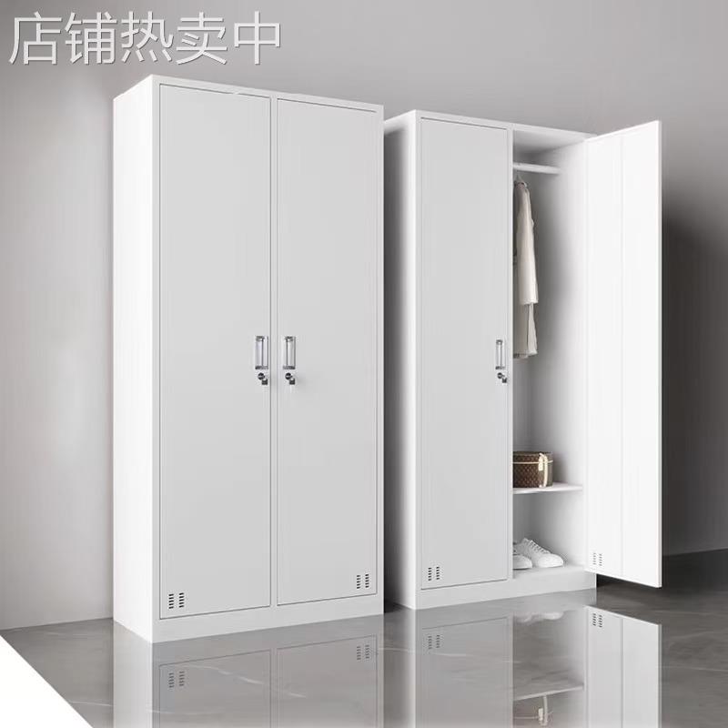 双门衣柜柜更衣柜子二门衣柜铁员工单位宿舍衣柜带锁储物柜2门柜