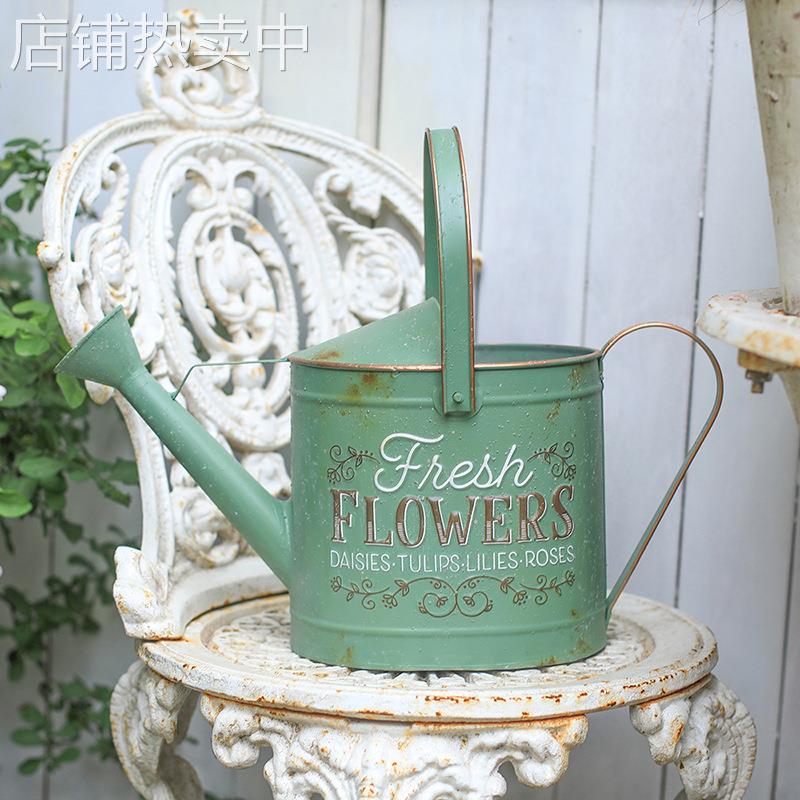 铁艺浇水壶长嘴蓬壶家用高颜值多肉洒浇水壶园艺工具大容量3L