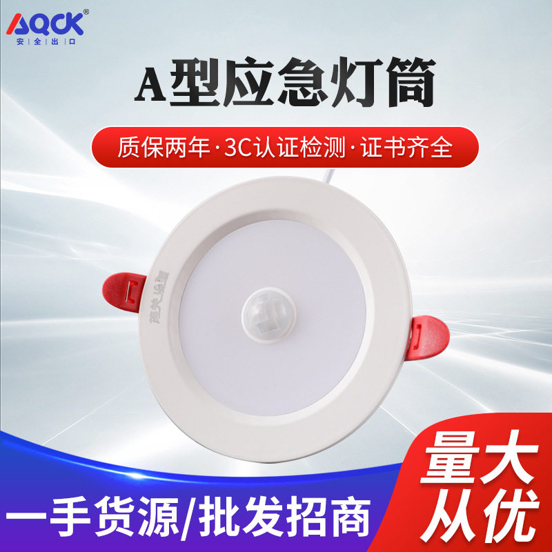 36V智能消防应急筒灯集中电源集中控制型消防应急照明灯具嵌入式