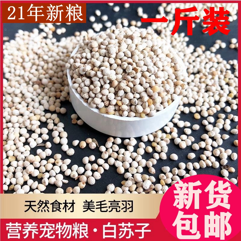 鹦鹉饲料鸟粮白苏子籽仓鼠宠物