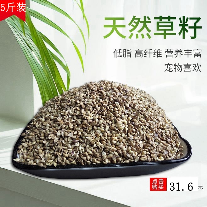 优质新草籽鸟食玄凤珍珠文鸟4斤