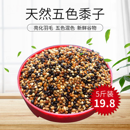 五色黍子玄凤虎皮鹦鹉鸟食混合饲料营养食物中小型鸟粮5斤装包邮