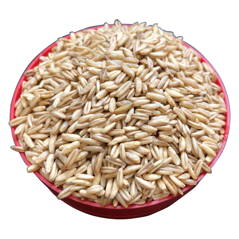 燕麦新粮鸟食玄凤虎皮鹦鹉饲料野麦雀麦燕麦米鸟粮鸽粮5斤装包邮