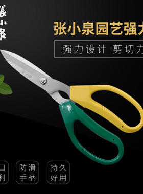 张小泉剪刀家用强力剪园艺剪修枝叶剪刀花店修剪花卉园林剪厨房剪
