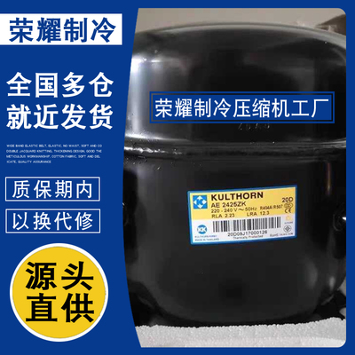 TYA2438ZKS TYA2431ZKS TYA2446ZKS原装泰康低温冷柜压缩机R404a