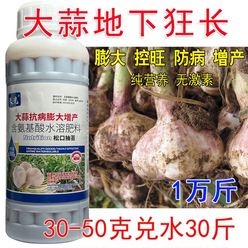 大蒜膨大剂膨大大蒜专用肥增产专用大蒜膨大叶面肥膨大素包邮