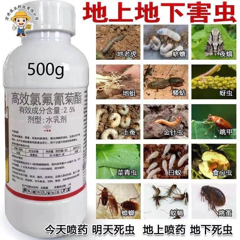 高效氯氟氰菊酯果树地下害虫
