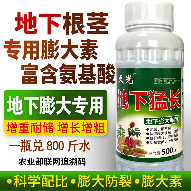 根茎块茎膨大素蒜姜土豆莲藕芋头红薯荸荠萝卜专用膨大剂地下猛长