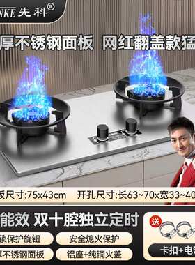 先科翻盖式双灶液化气天然气