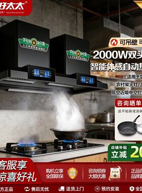 真情好太太大功率变频商用排抽油烟机餐饮店酒店单双塔头油烟机