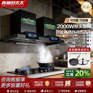 真情好太太大功率变频商用排抽油烟机餐饮店酒店单双塔头油烟机
