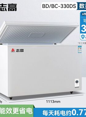 商用冷柜大容量双门冰柜
