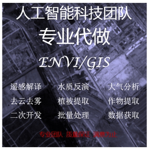 遥感反演地物分类深度学习python编程代做影像GIS数据批处理建模