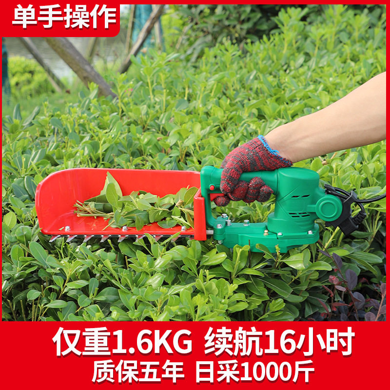 新款无刷电动采茶机单人便携式小型摘茶机手持充电式收割茶叶机