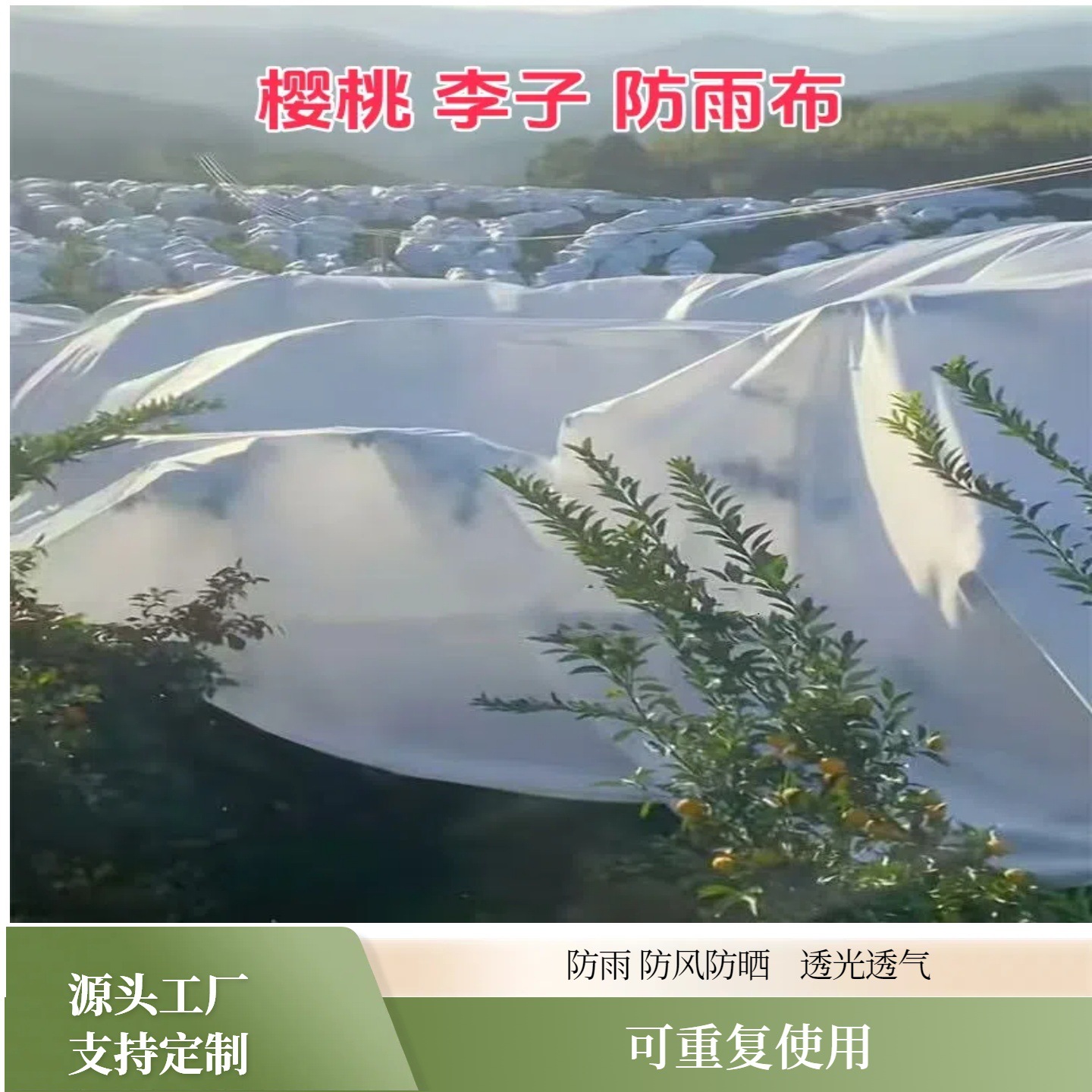 防寒布果树茶叶柑橘防寒布透光