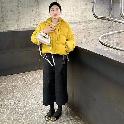 冬季今年流行加厚保暖羽绒棉服女