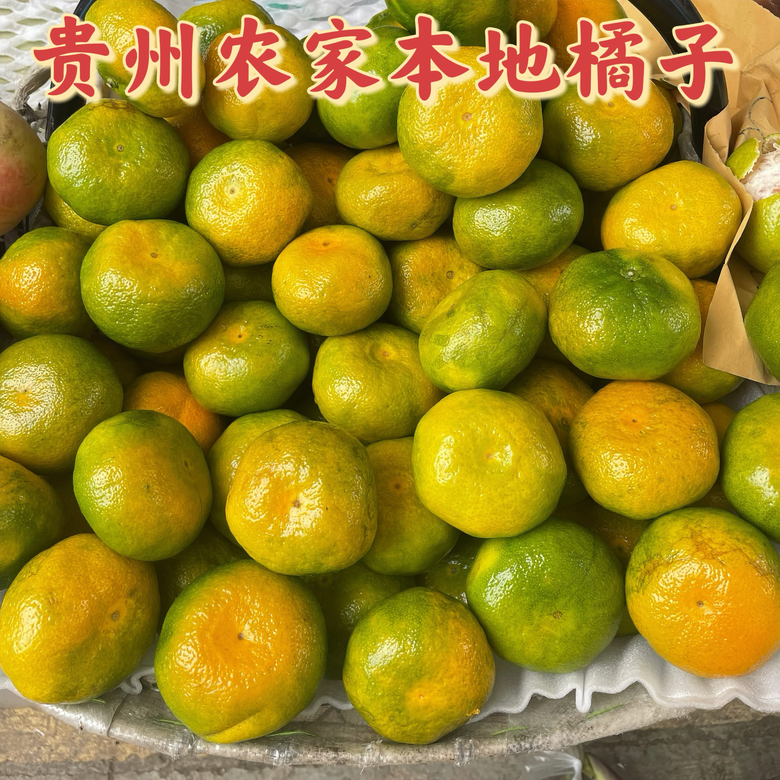 3斤 贵州橘子新鲜水果老品种现桔子