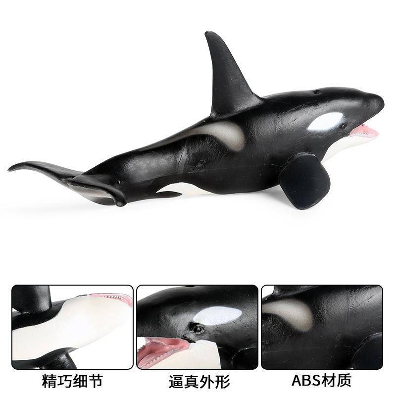 跨境儿童认知玩具仿真虎鲸鲨鱼海洋生物动物模型静态实心摆件手办