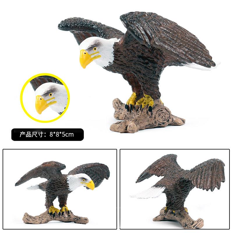 儿童仿真动物园模型摆件玩具野生猛禽老鹰鹫鸢大雕