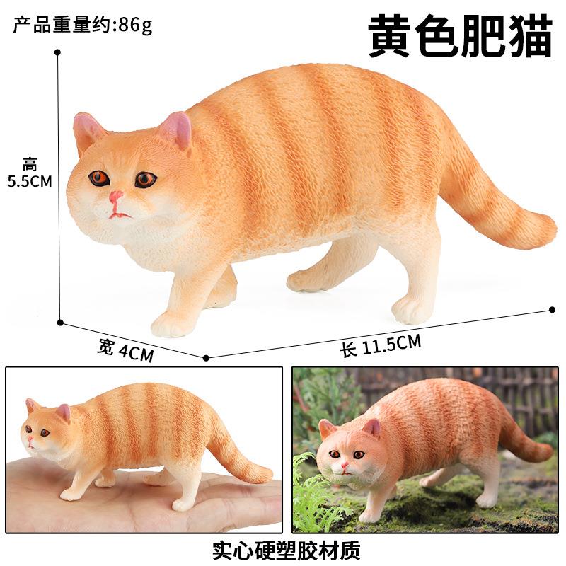 儿童认知仿真动物模型实心猫咪玩具黄色肥猫波斯猫家猫宠物猫摆件
