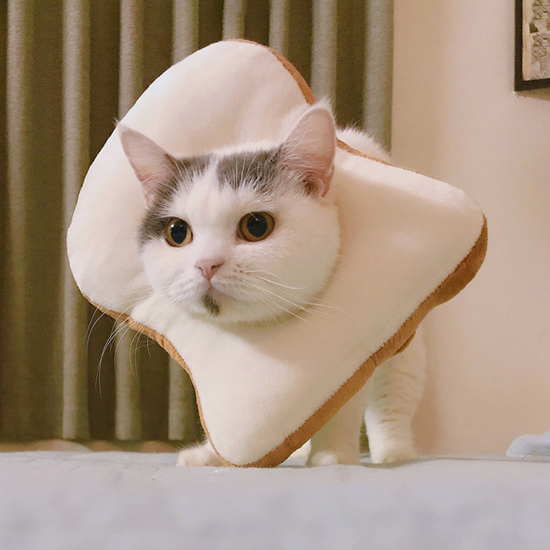 吐司头套猫咪绝育防舔项圈ins猫套宠物配饰伊丽莎白圈面包片脖套