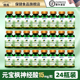进口元 24瓶 美国原装 宝枫籽油神经酸dha胶囊关注青少年学生老年