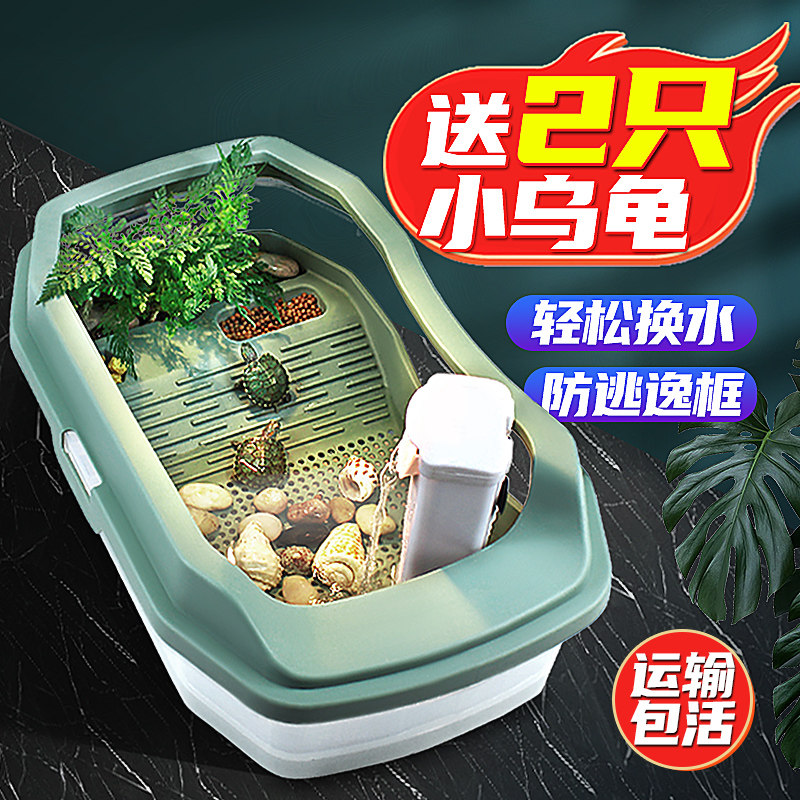 小乌龟活物宠物观赏家养中华草龟珍珠巴西花龟小型好幼龟苗耐活体