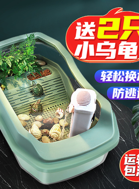 小乌龟活物宠物观赏家养中华草龟珍珠巴西花龟小型好幼龟苗耐活体