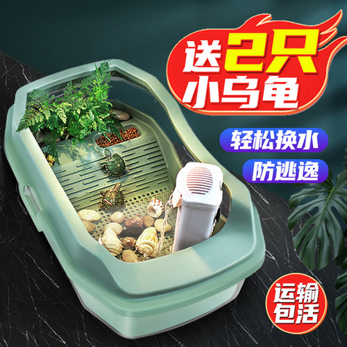 小乌龟/巴西龟/中华草龟运输包活
