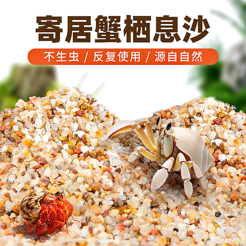 寄居蟹专用沙玻璃缸造景底砂垫材图片
